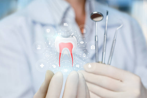 Best General Dentistry  in Orange Park, FL